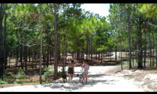 Camping Novas Palmeiras Florianopolis Luaran gambar